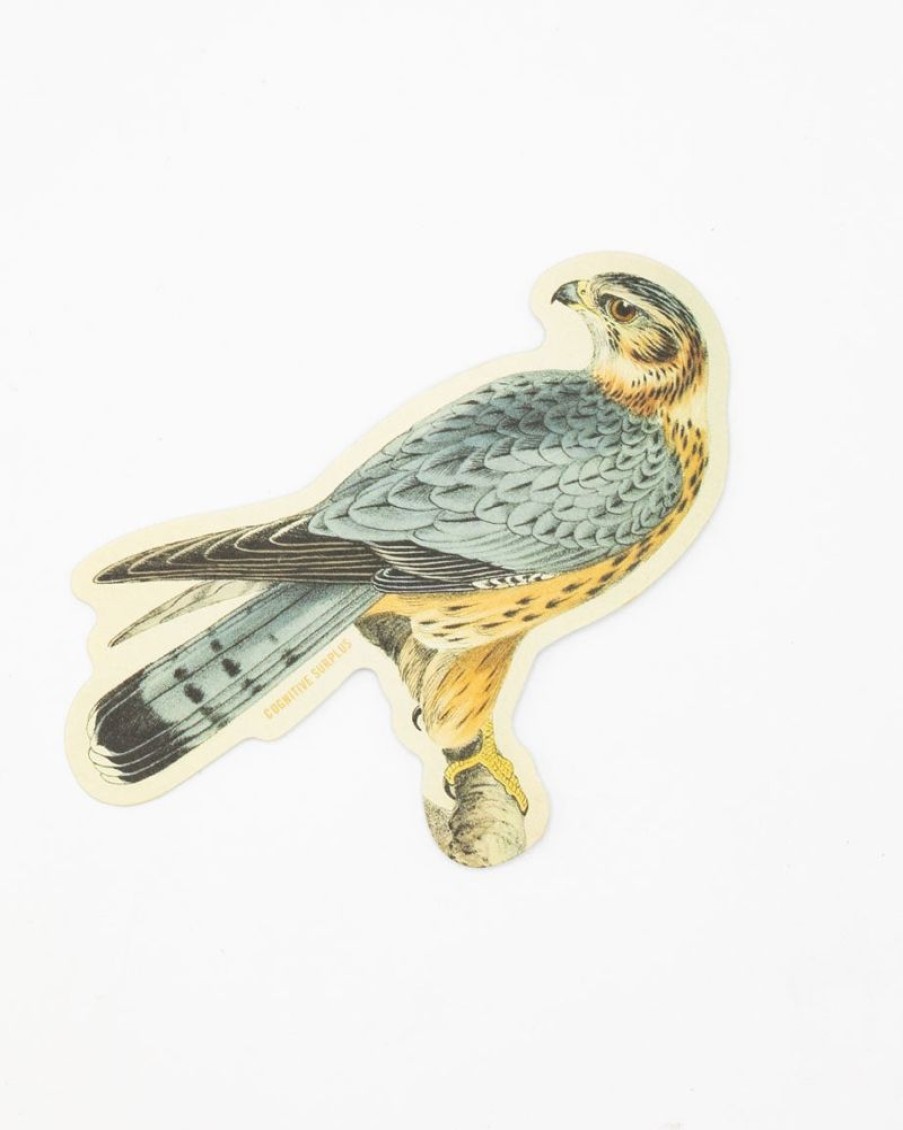 Stationery Cognitive Surplus | Merlin Falcon Sticker