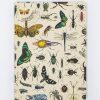 Notebooks Cognitive Surplus | Butterflies & Beetles Hardcover - Blank