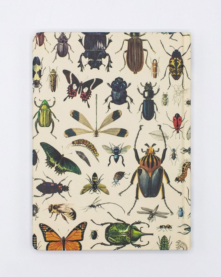 Notebooks Cognitive Surplus | Butterflies & Beetles Hardcover - Blank