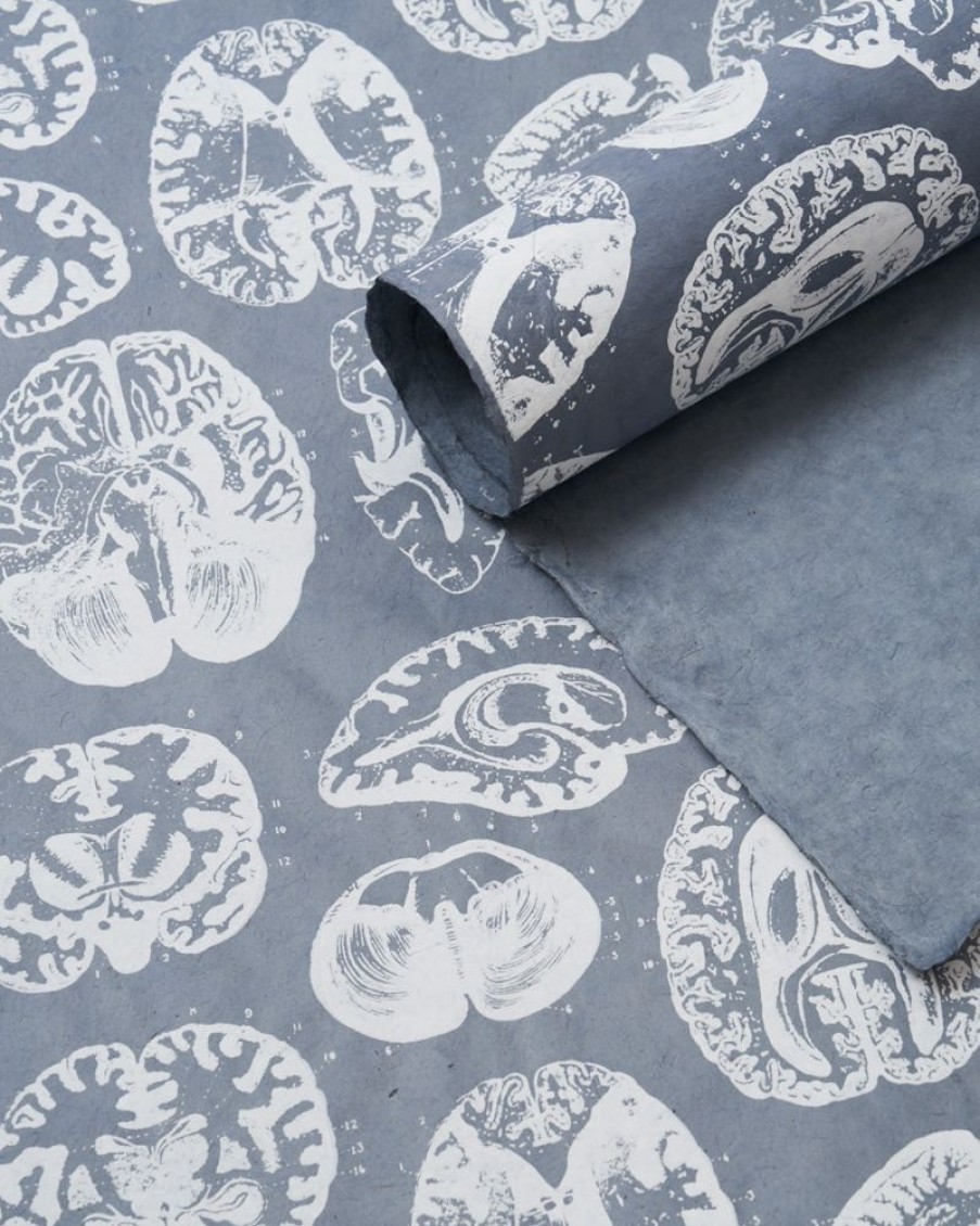 Stationery Cognitive Surplus | Brain Anatomy Wrapping Paper