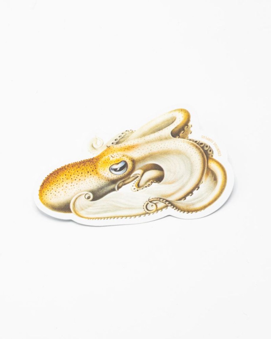 Stationery Cognitive Surplus | Velondona Togata Octopus Sticker