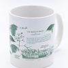 Kitchen + Bar Cognitive Surplus | Evolution Science Mug 20 Oz | Biology Gifts