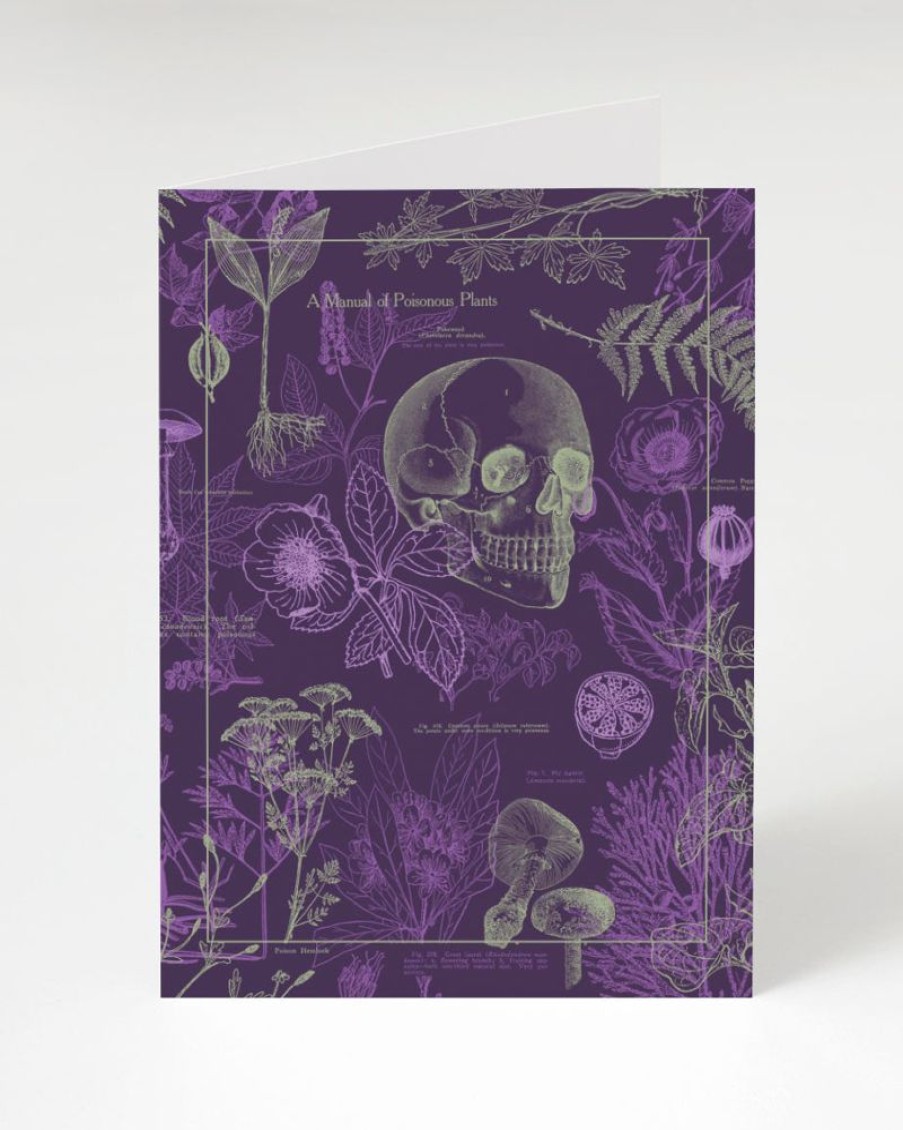 Stationery Cognitive Surplus | Poisonous Plants Mushroom Card | Cognitive Surplus