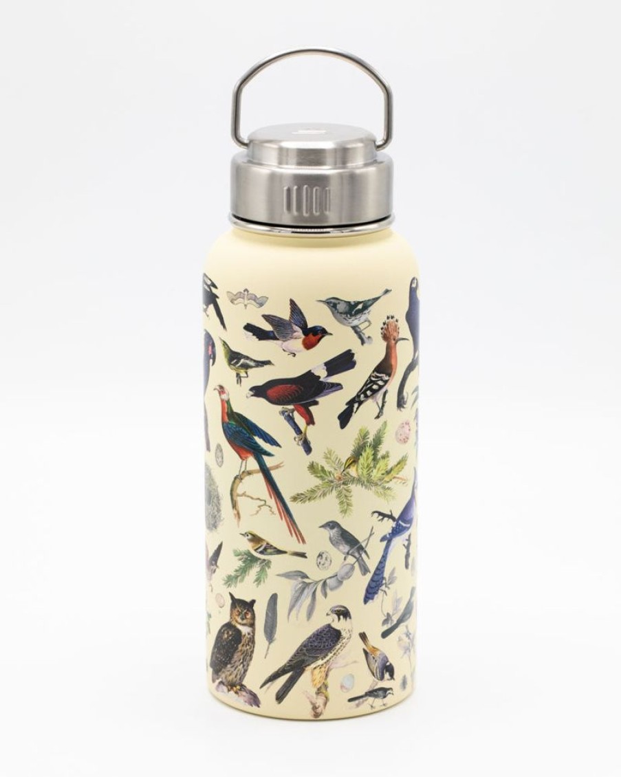 Kitchen + Bar Cognitive Surplus | Birds 18 Oz. Stainless Steel Water Bottle / Travel Mug | Cognitive Surplus