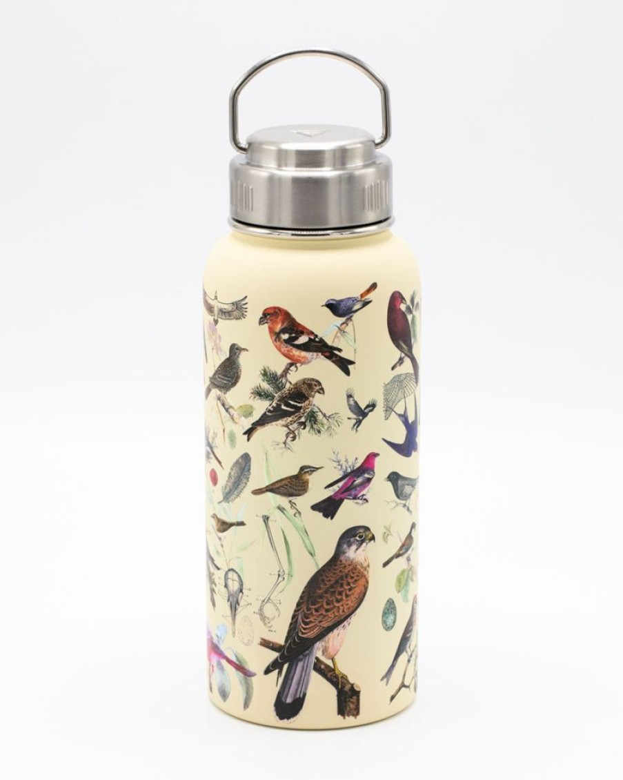 Kitchen + Bar Cognitive Surplus | Birds 18 Oz. Stainless Steel Water Bottle / Travel Mug | Cognitive Surplus