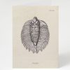 Stationery Cognitive Surplus | Trilobite Fossil Card - Paleontology Greeting Card | Cognitive Surplus