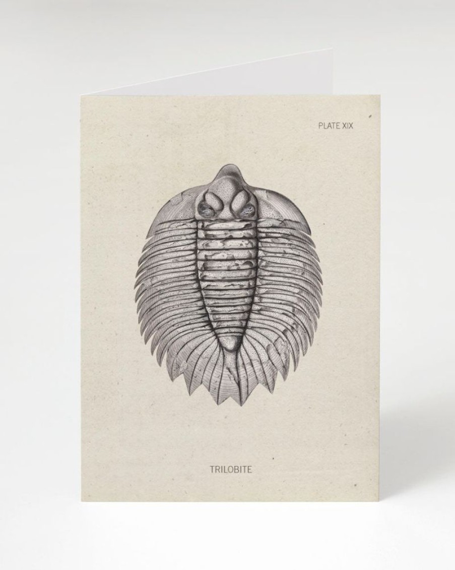 Stationery Cognitive Surplus | Trilobite Fossil Card - Paleontology Greeting Card | Cognitive Surplus