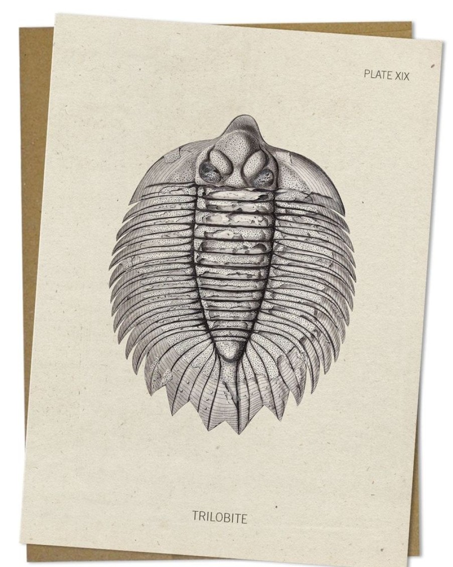 Stationery Cognitive Surplus | Trilobite Fossil Card - Paleontology Greeting Card | Cognitive Surplus