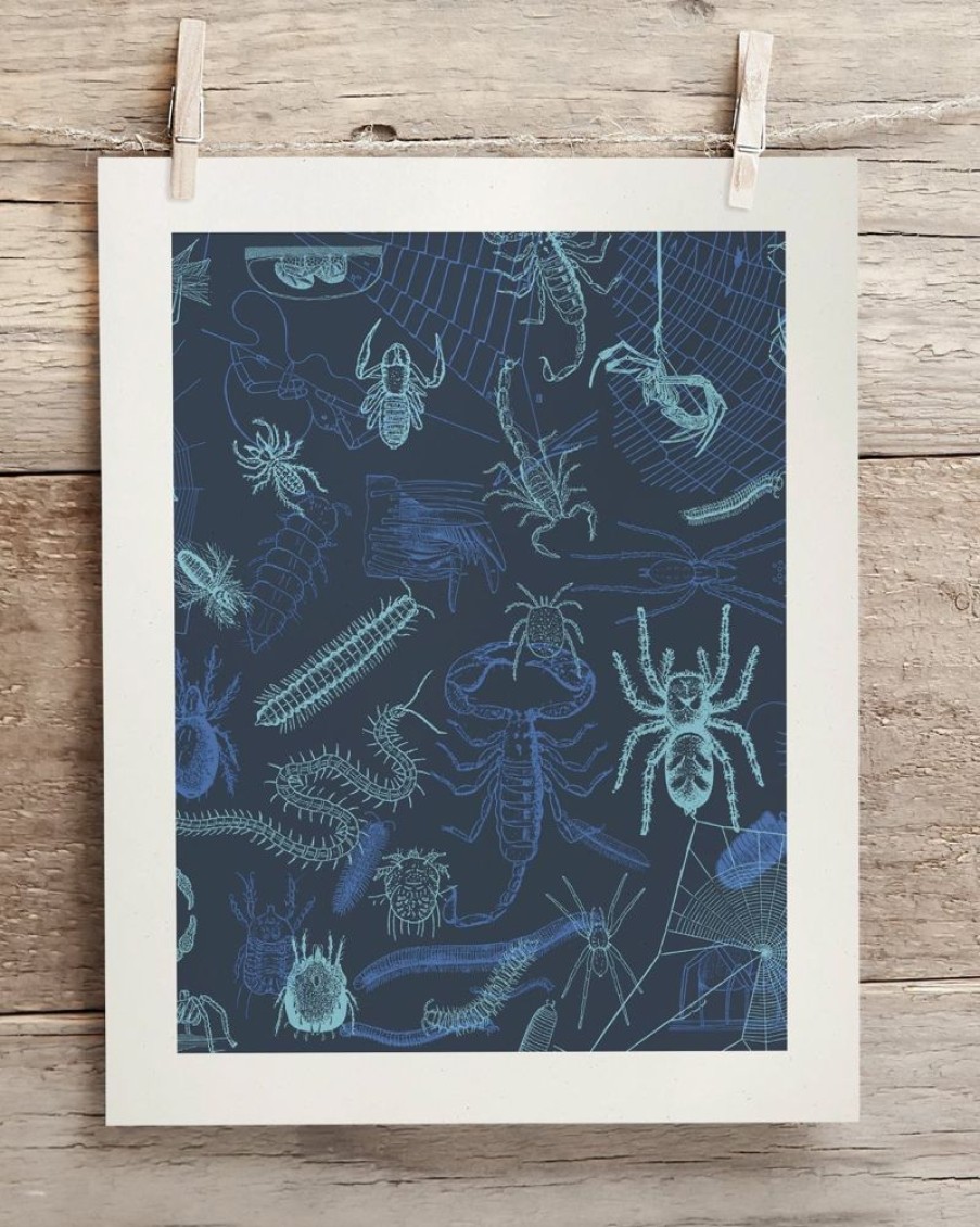 Wall Art Cognitive Surplus | Spiders Scientific Illustration Museum Print