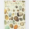 Notebooks Cognitive Surplus | Eggs Softcover Notebook | Botanical Print Journal