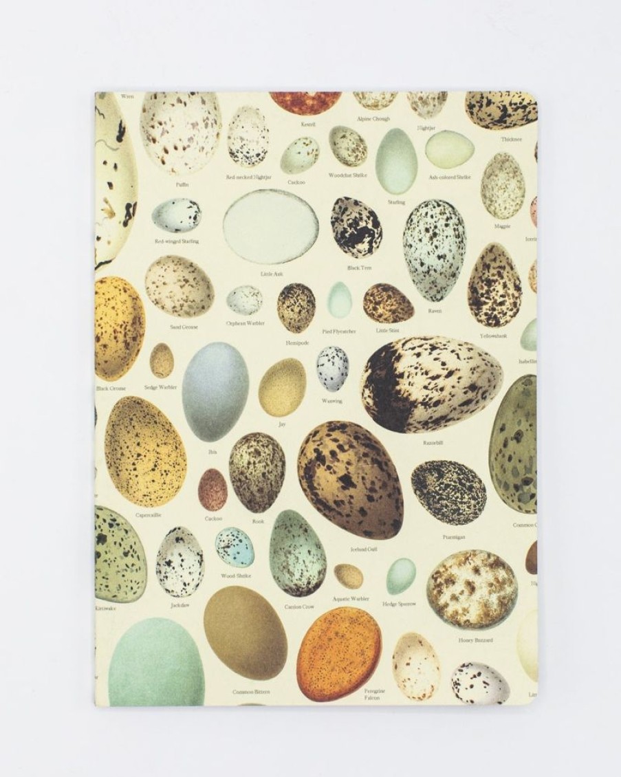 Notebooks Cognitive Surplus | Eggs Softcover Notebook | Botanical Print Journal