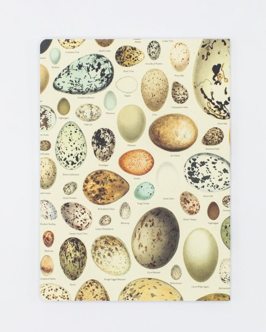 Notebooks Cognitive Surplus | Eggs Softcover Notebook | Botanical Print Journal