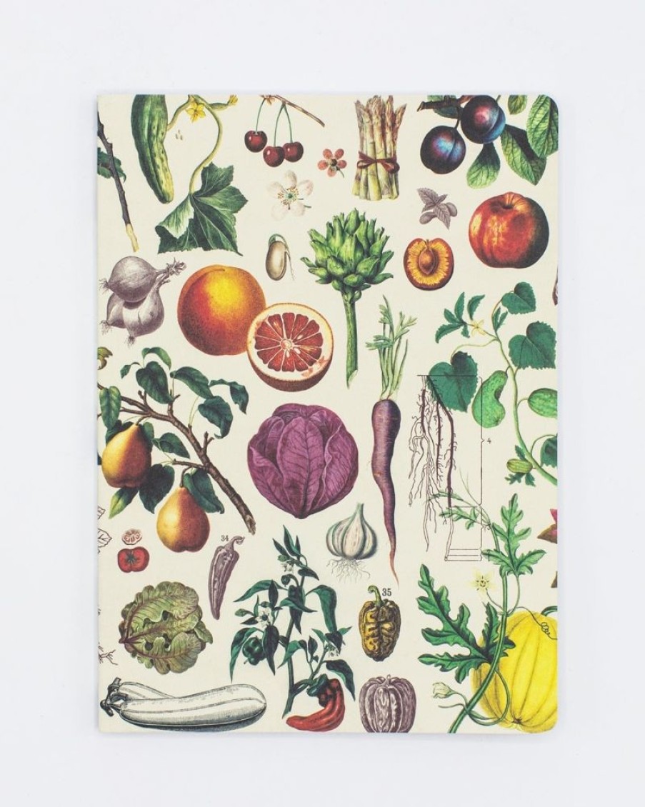 Notebooks Cognitive Surplus | Botanical Print Softcover Notebook | Recycled Notebook