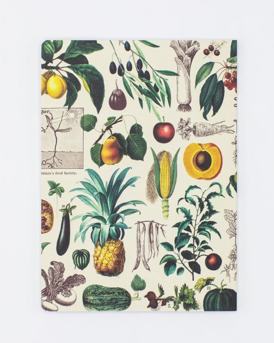 Notebooks Cognitive Surplus | Botanical Print Softcover Notebook | Recycled Notebook