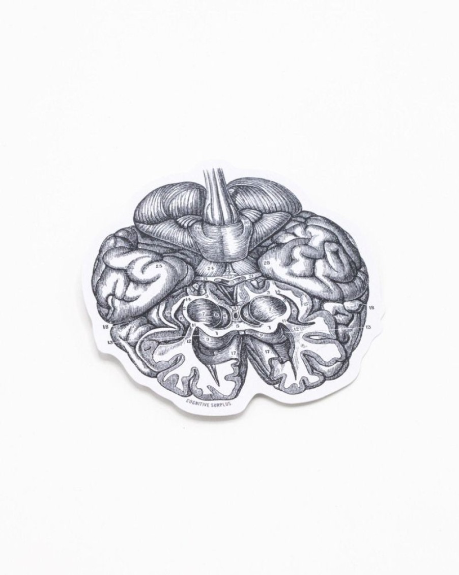 Stationery Cognitive Surplus | Brain Sticker