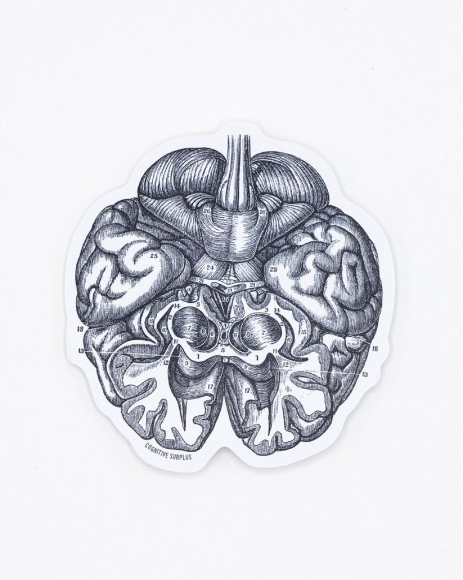 Stationery Cognitive Surplus | Brain Sticker