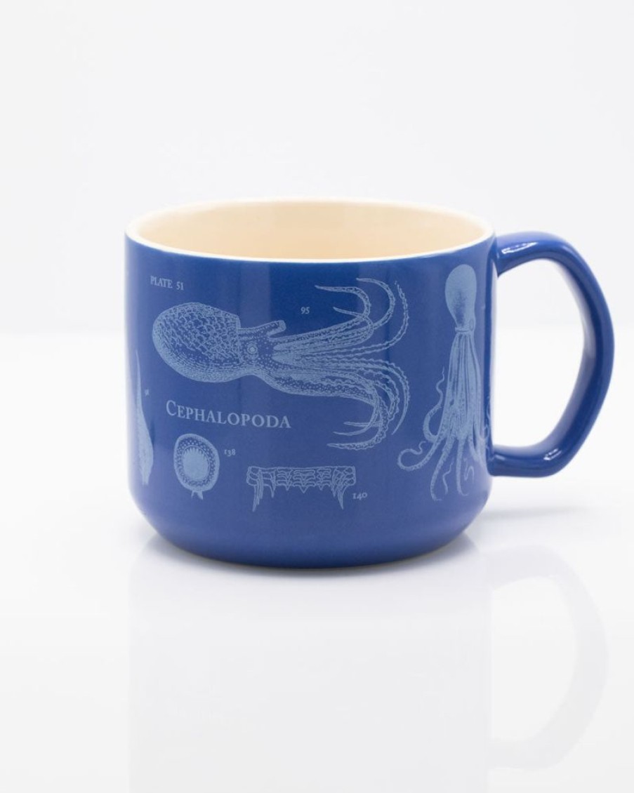 Kitchen + Bar Cognitive Surplus | Beware The Kraken: Cephalopods Mug - Marine Biology | Cognitive Surplus