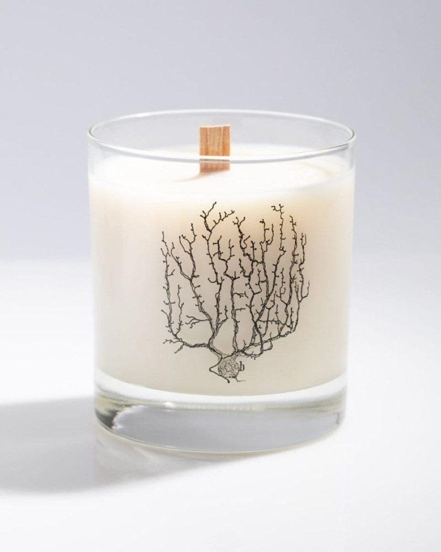 Home Cognitive Surplus | Nerve Cluster Cocktail Candle