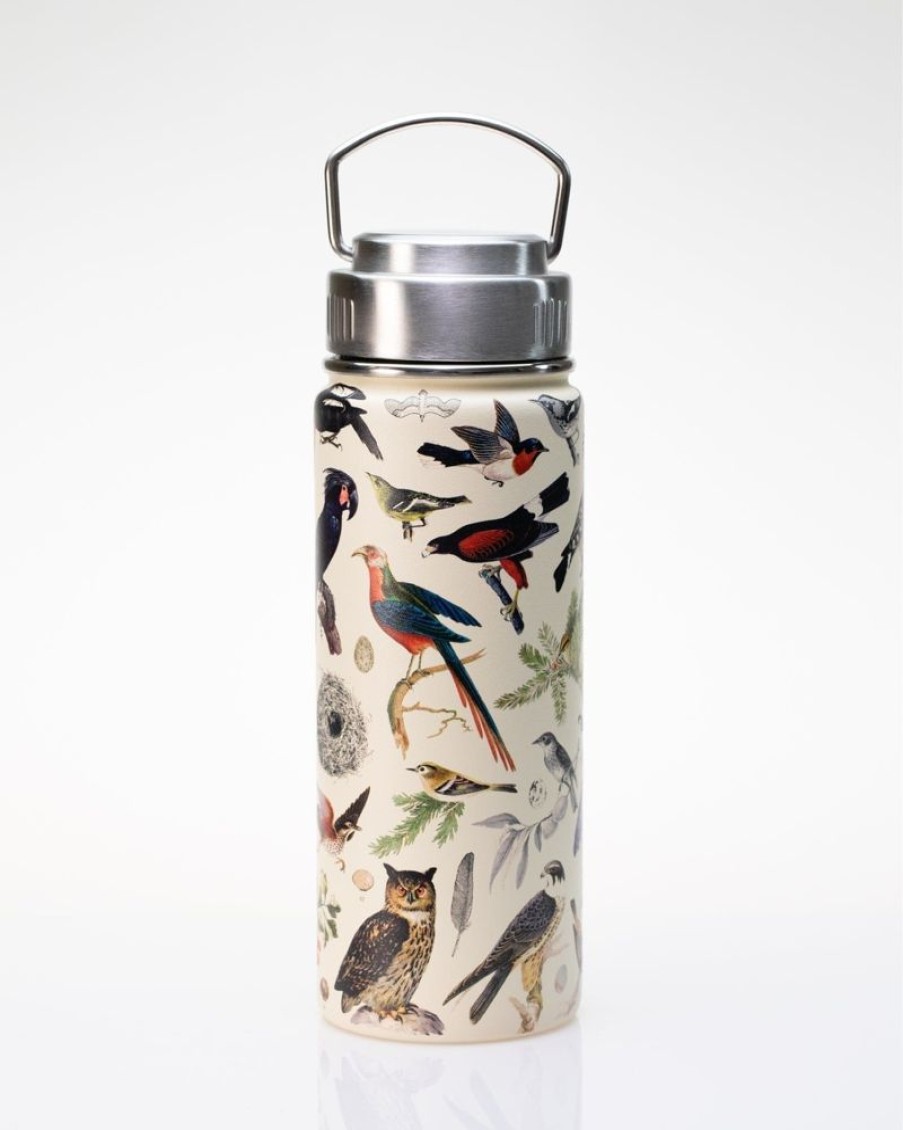 Kitchen + Bar Cognitive Surplus | Birds 18 Oz. Stainless Steel Water Bottle / Travel Mug | Cognitive Surplus