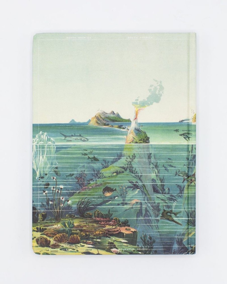 Notebooks Cognitive Surplus | Marine Biology Notebook - Hardcover | Biology Gifts