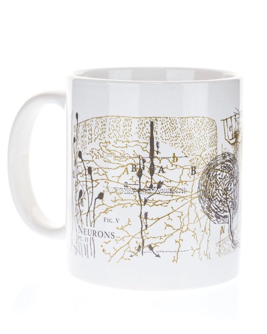 Kitchen + Bar Cognitive Surplus | Neuroscience Mug 20 Oz | Neuron Coffee Mug