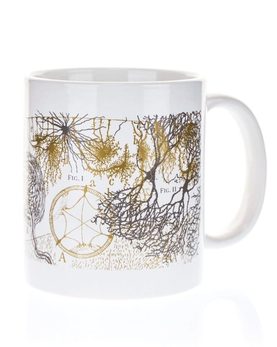 Kitchen + Bar Cognitive Surplus | Neuroscience Mug 20 Oz | Neuron Coffee Mug