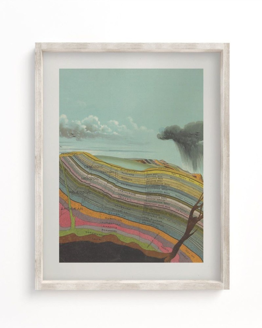 Wall Art Cognitive Surplus | Stratigraphy Scientific Illustration Museum Print