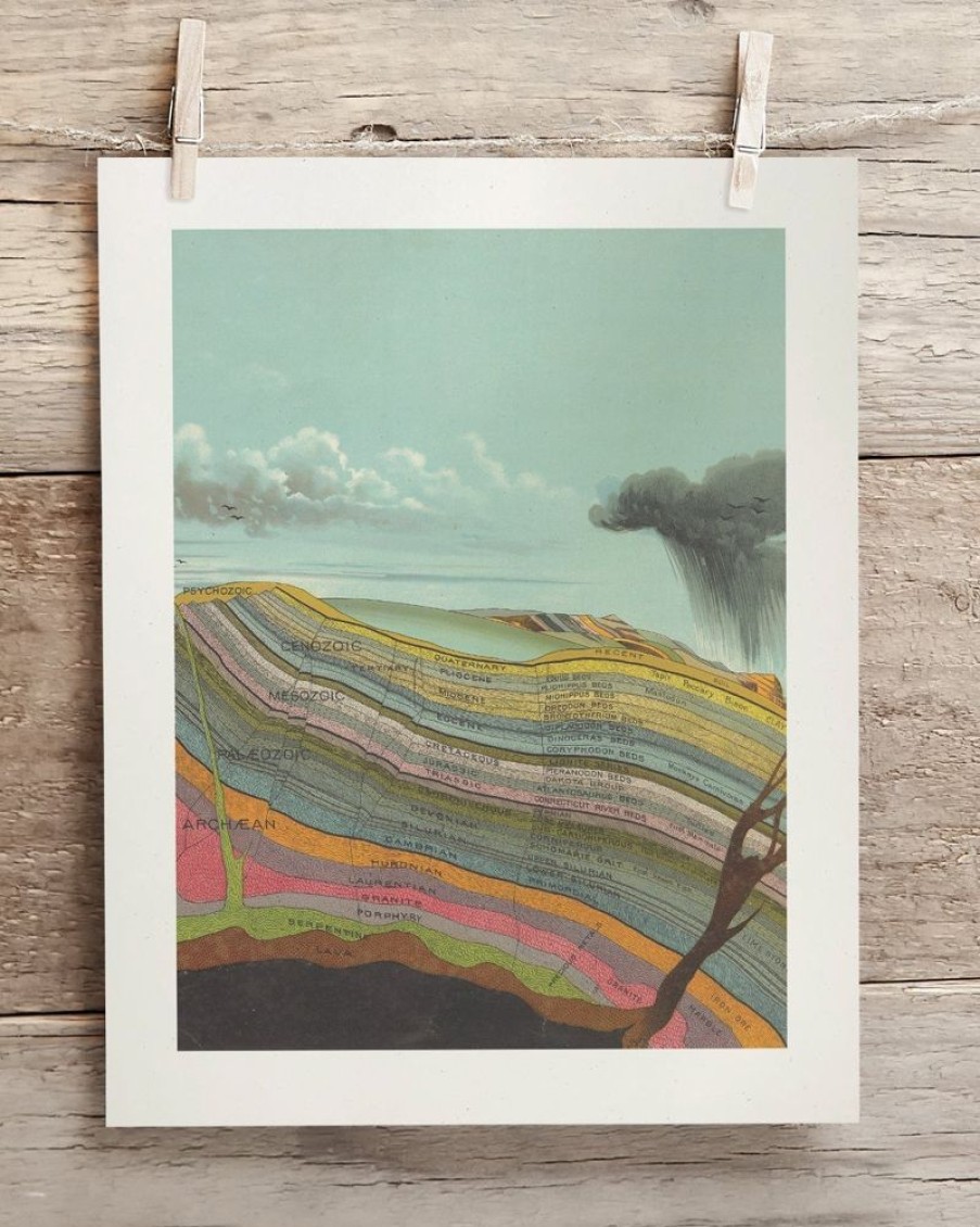 Wall Art Cognitive Surplus | Stratigraphy Scientific Illustration Museum Print