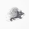 Stationery Cognitive Surplus | Porcupine Sticker