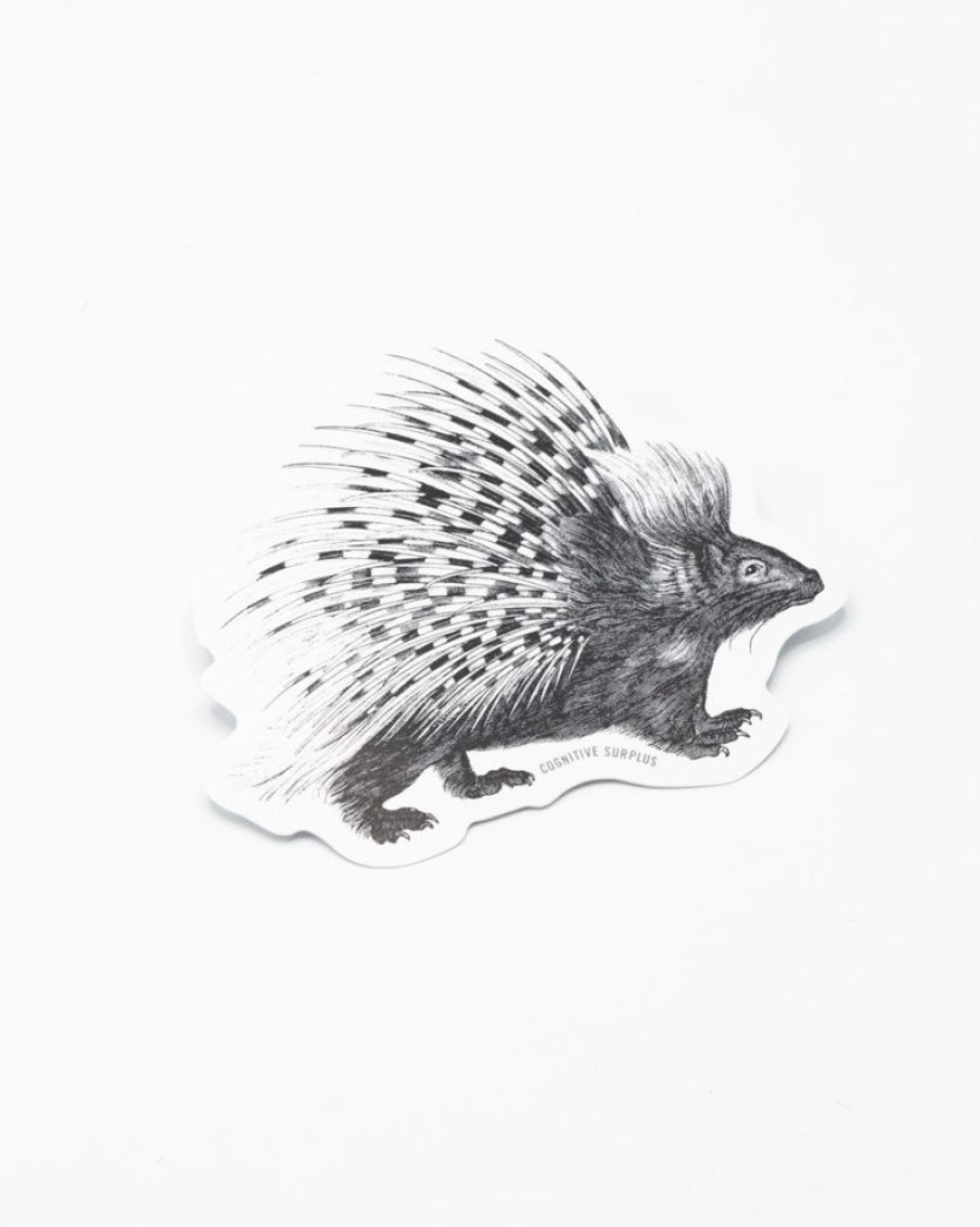 Stationery Cognitive Surplus | Porcupine Sticker