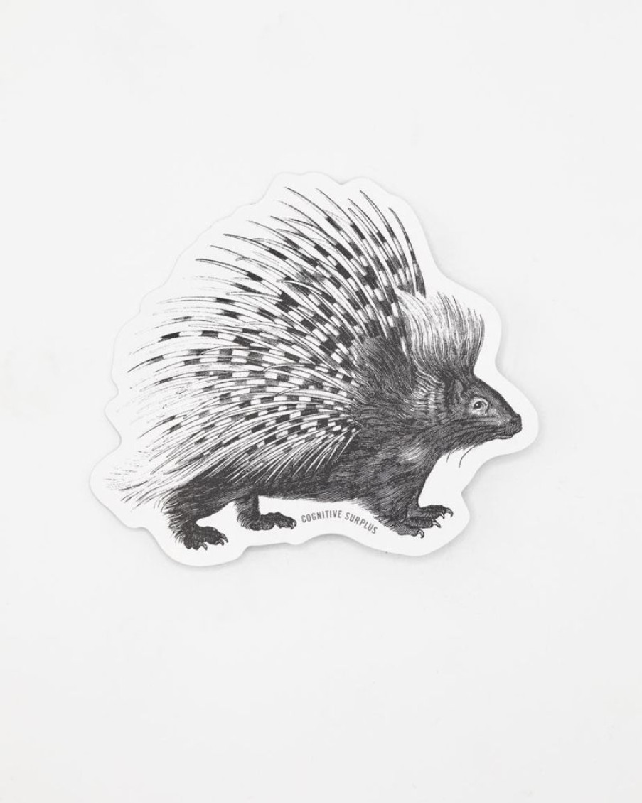 Stationery Cognitive Surplus | Porcupine Sticker