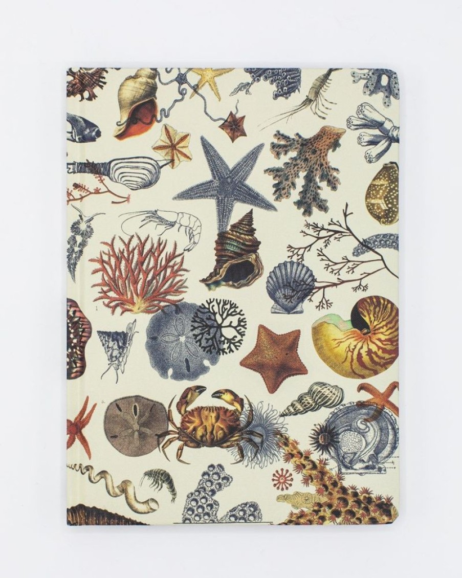 Notebooks Cognitive Surplus | Marine Biology Notebook - Hardcover | Dot Grid Journal