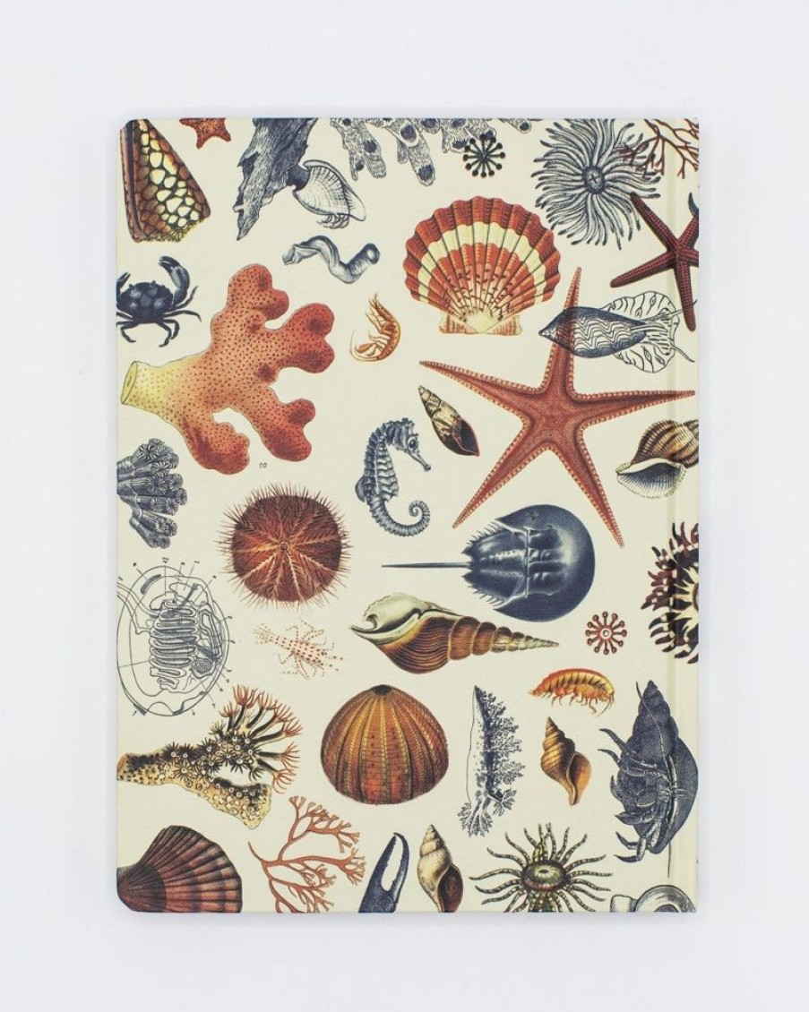 Notebooks Cognitive Surplus | Marine Biology Notebook - Hardcover | Dot Grid Journal