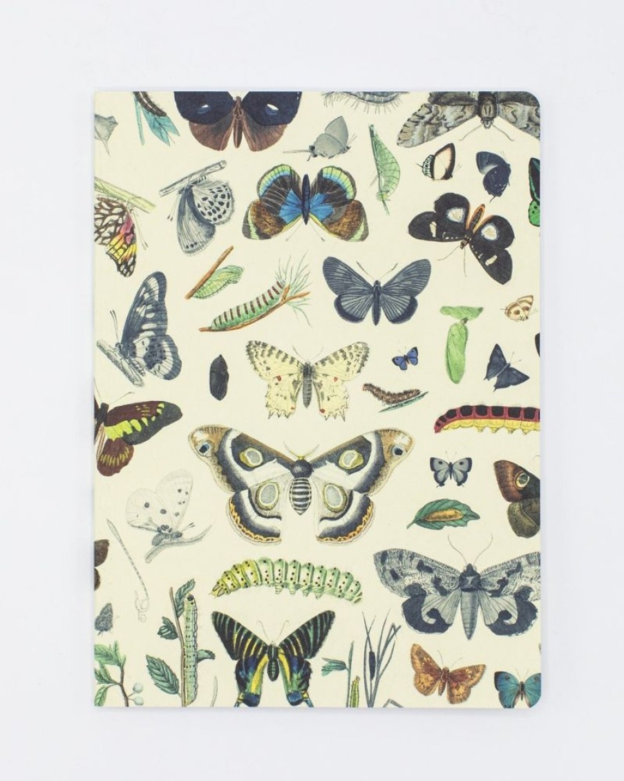 Notebooks Cognitive Surplus | Butterflies Softcover Notebook - Dot Grid