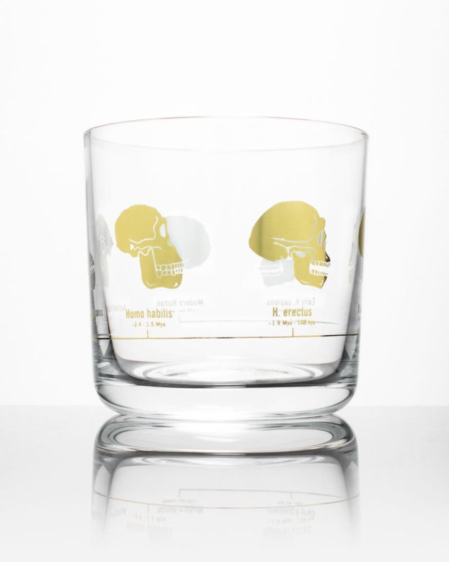 Kitchen + Bar Cognitive Surplus | Hominid Skulls Whiskey Glass - Scotch Glass | Cognitive Surplus