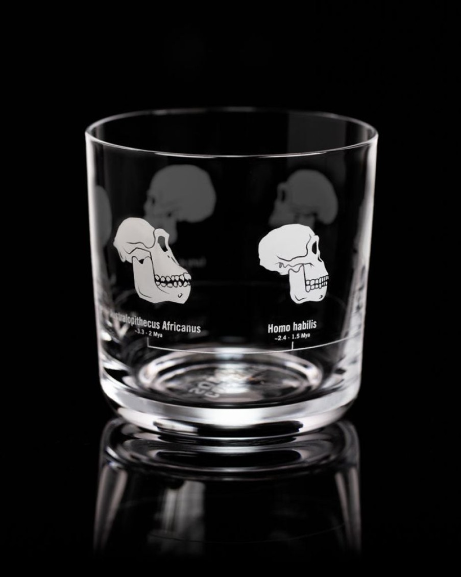 Kitchen + Bar Cognitive Surplus | Hominid Skulls Whiskey Glass - Scotch Glass | Cognitive Surplus