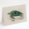 Stationery Cognitive Surplus | Green Sea Turtle Greeting Card - Biology Gifts | Cognitive Surplus