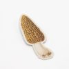 Stationery Cognitive Surplus | Morel Mushroom Sticker