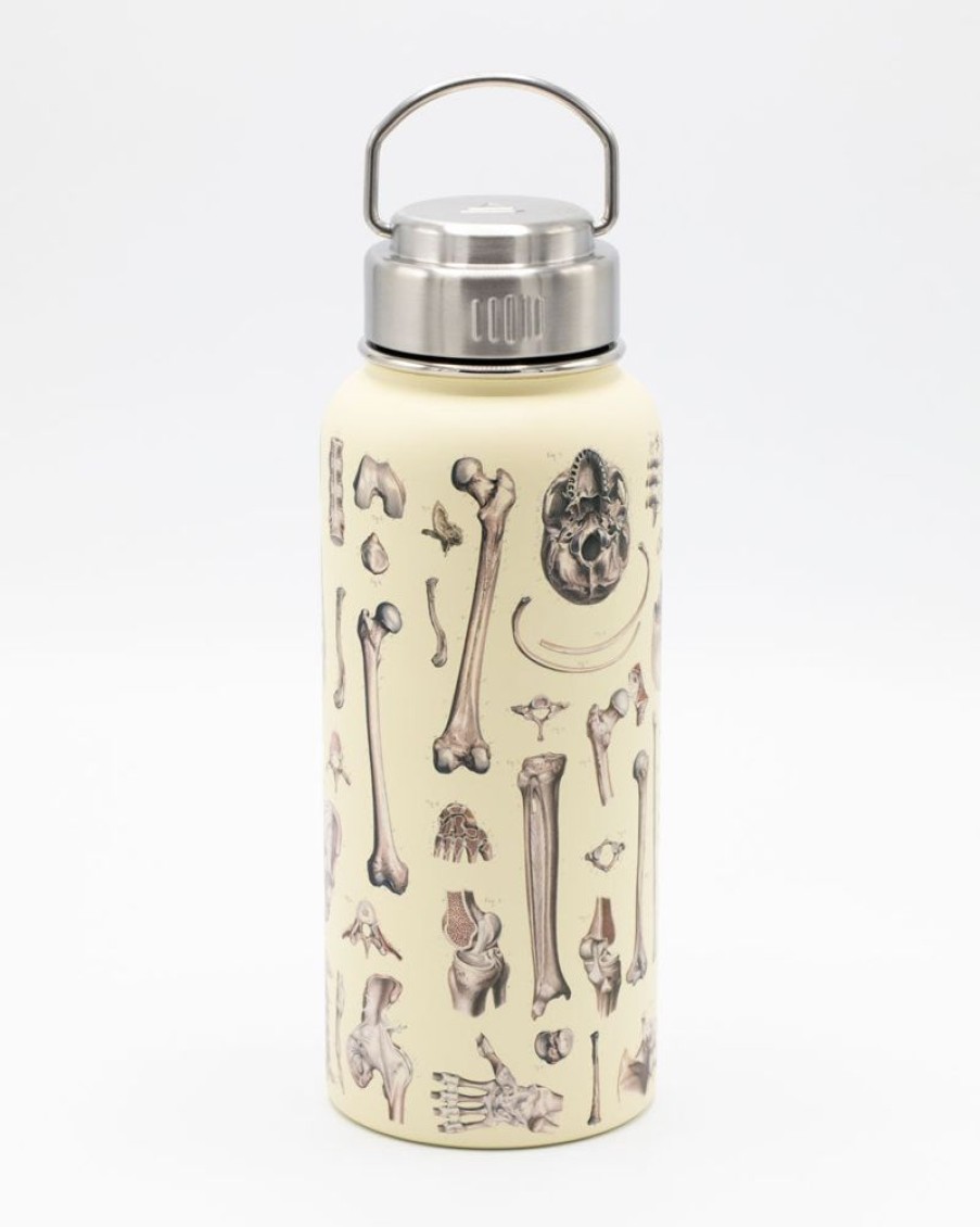 Kitchen + Bar Cognitive Surplus | Brain Neuroscience 32 Oz Insulated Steel Bottle By Cognitive Surplus