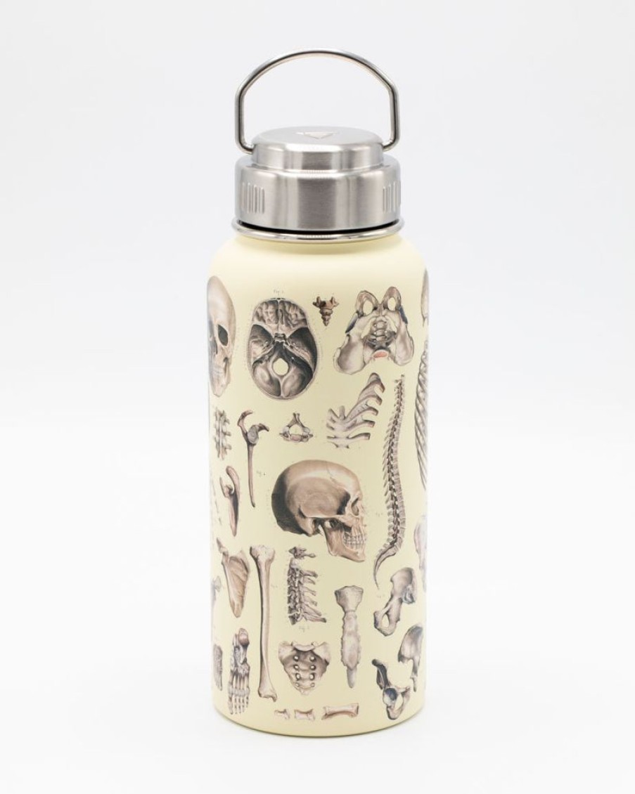 Kitchen + Bar Cognitive Surplus | Brain Neuroscience 32 Oz Insulated Steel Bottle By Cognitive Surplus