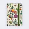 Notebooks Cognitive Surplus | Edible Flora Observation Softcover