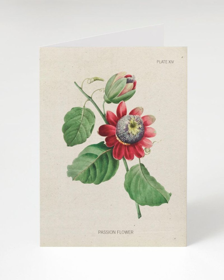 Stationery Cognitive Surplus | Passion Flower Greeting Card - Science Stationery | Cognitive Surplus