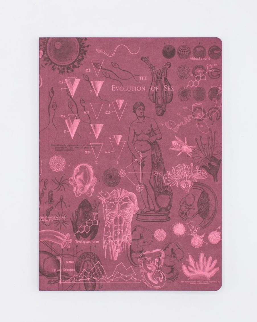 Notebooks Cognitive Surplus | Reproduction Softcover Notebook | Pregnancy Journal