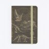 Notebooks Cognitive Surplus | Dinosaur Bones Observation Softcover