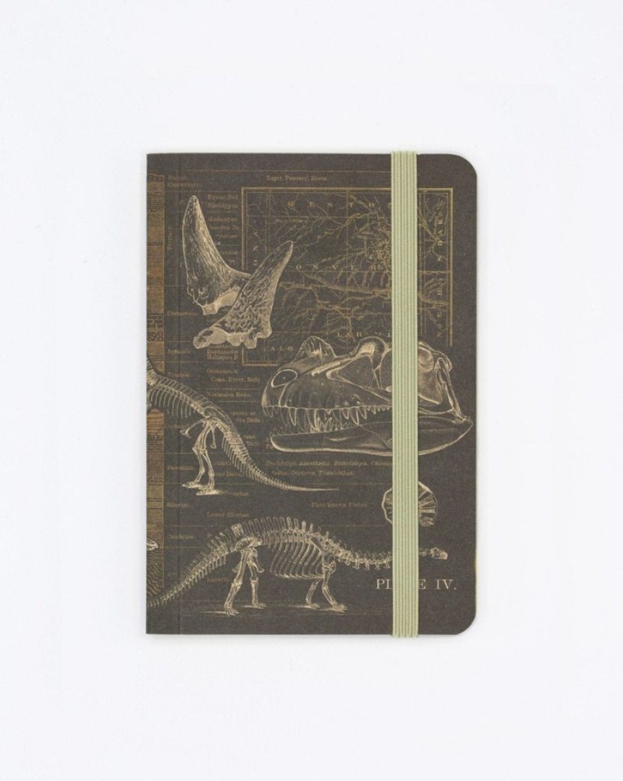 Notebooks Cognitive Surplus | Dinosaur Bones Observation Softcover