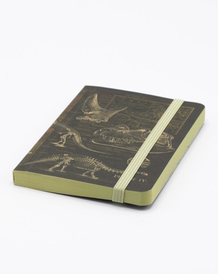 Notebooks Cognitive Surplus | Dinosaur Bones Observation Softcover