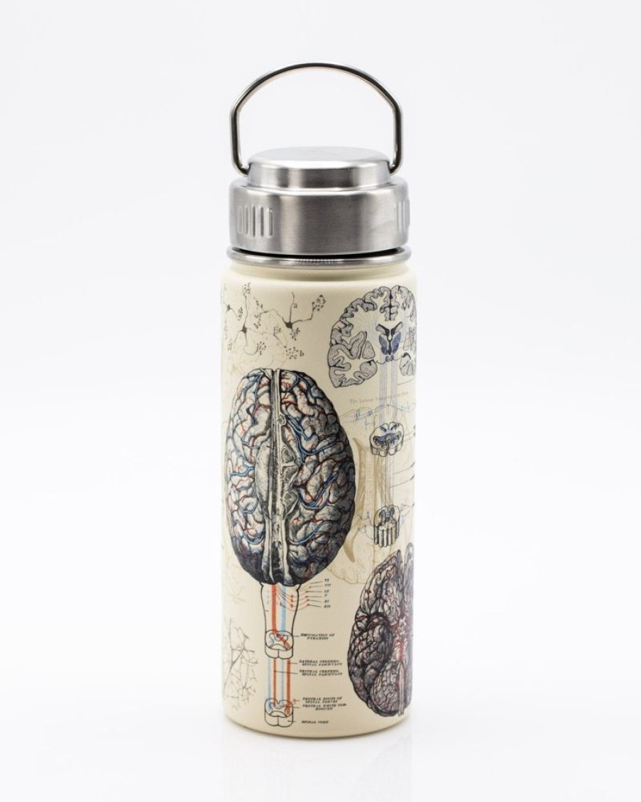 Kitchen + Bar Cognitive Surplus | Brain & Neuroscience 18 Oz Insulated Steel Bottle By Cognitive Surplus