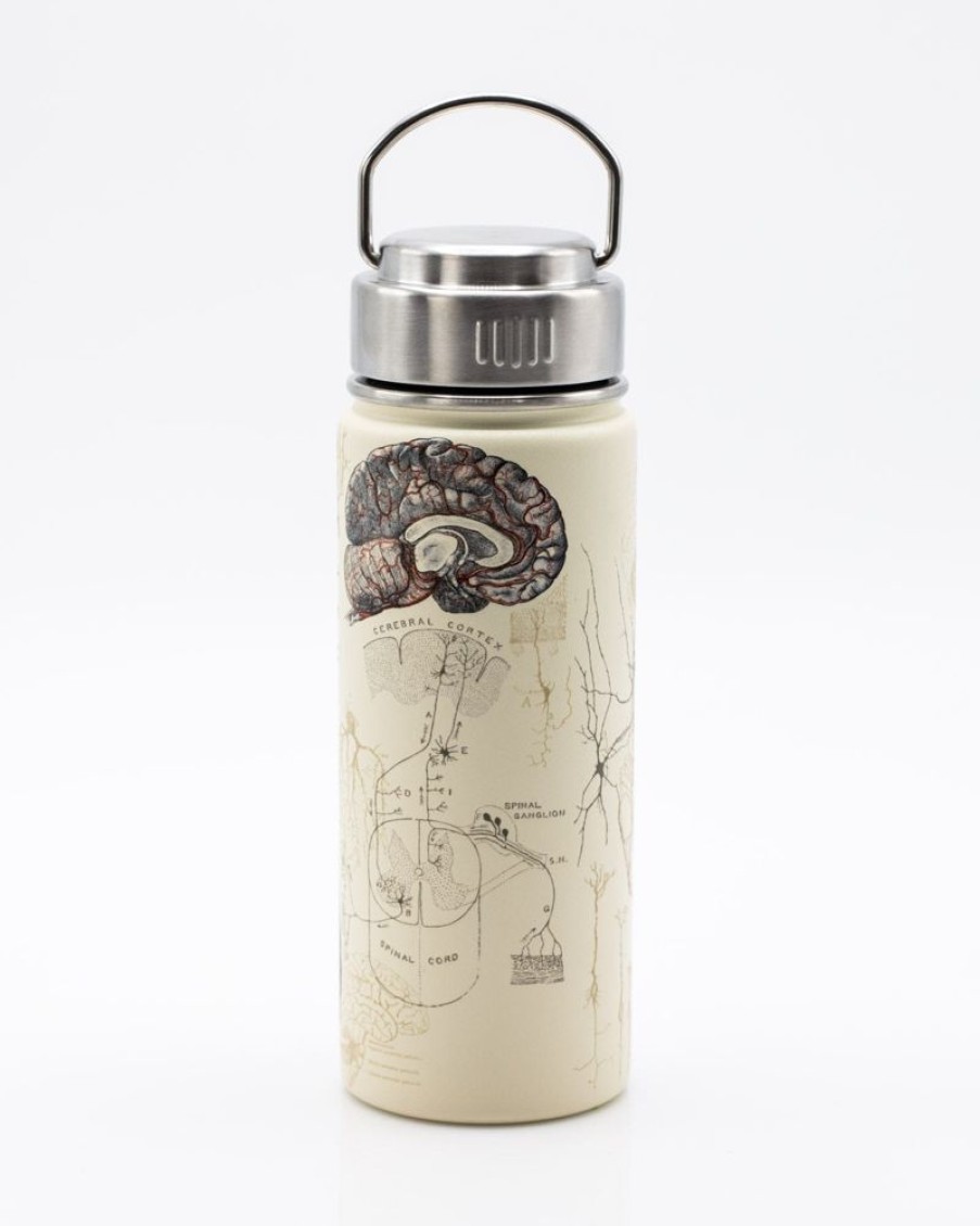 Kitchen + Bar Cognitive Surplus | Brain & Neuroscience 18 Oz Insulated Steel Bottle By Cognitive Surplus