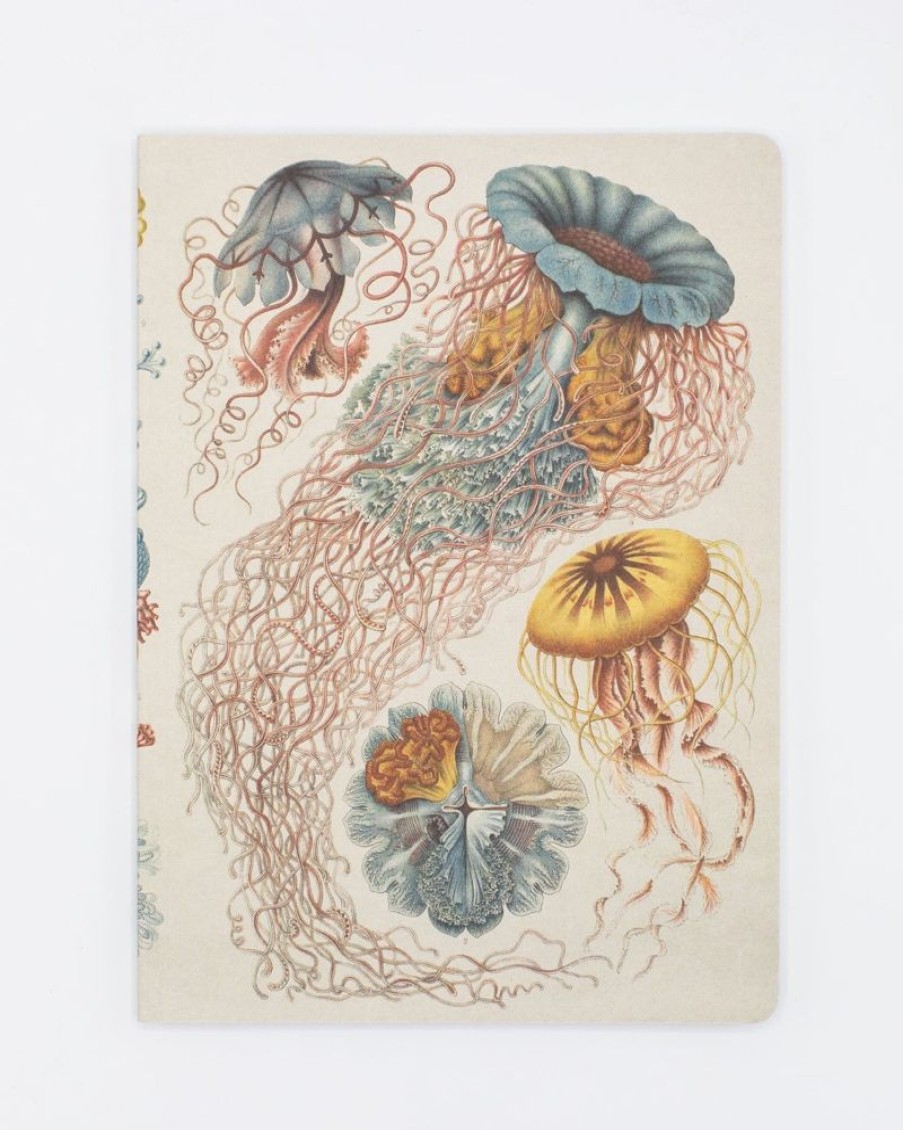 Notebooks Cognitive Surplus | Haeckel Jellyfish Softcover Notebook - Dot Grid