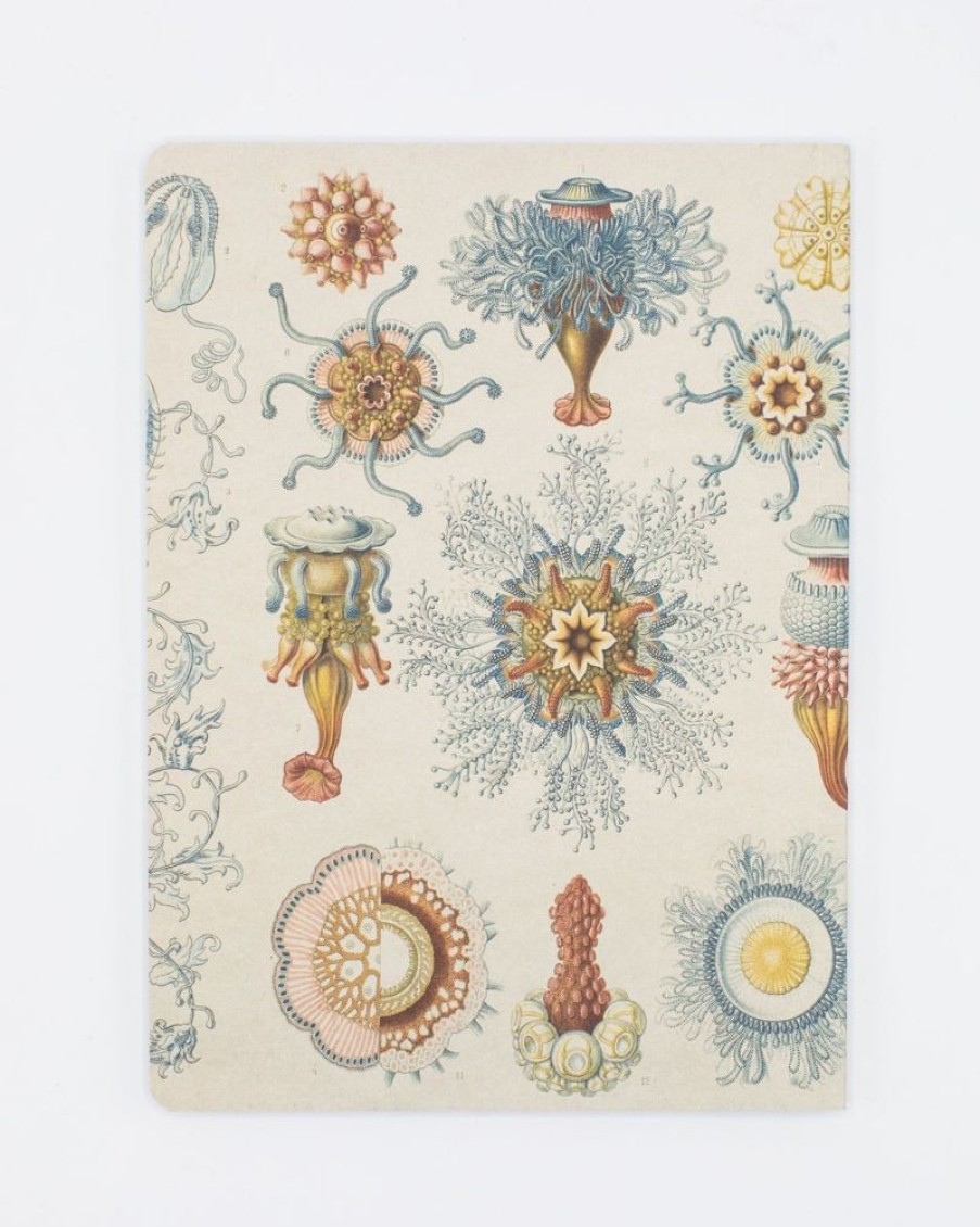 Notebooks Cognitive Surplus | Haeckel Jellyfish Softcover Notebook - Dot Grid